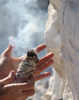 SMUDGING HERBS:  Dakota Sage ~ Wild Crafted with Integrity