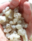 SMUDGING HERBS: BOSWELLIA SACRA ~ SUPERIOR WHITE HOJARI (Frankincense Resin)