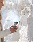 SMUDGING HERBS: Desert Sage ~ Wild Crafted with Integrity