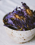 SACRED HERBS: Blue Lotus