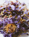 SACRED HERBS: Blue Lotus