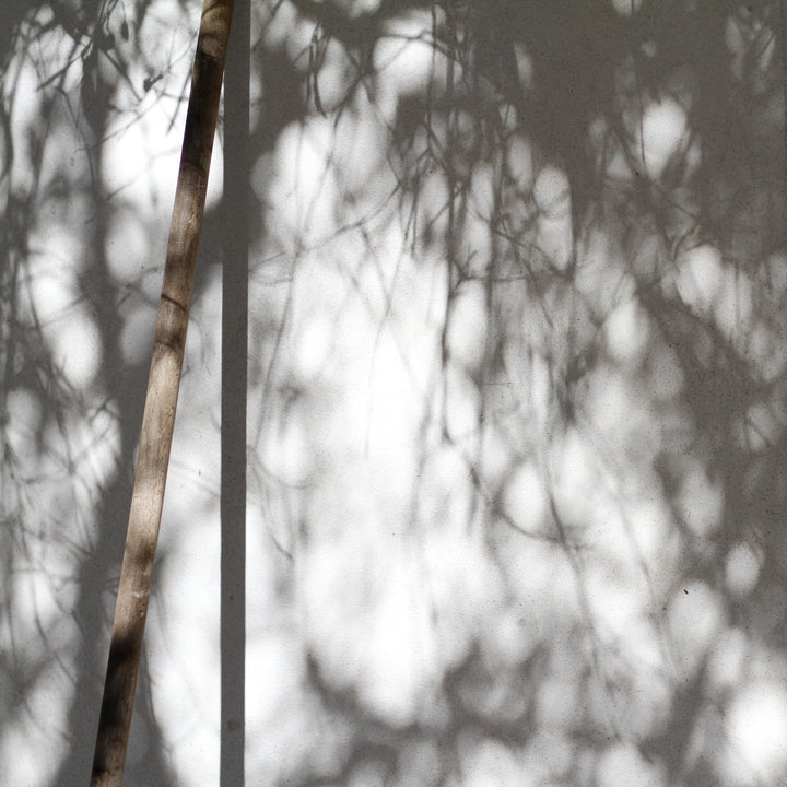 HOW DO YOU CREATE? ... BY CULTIVATING INNER STILLNESS - Ume 