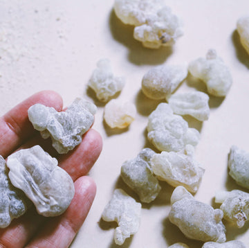 SMUDGING HERBS: BOSWELLIA SACRA ~ DEEP GREEN HOJARI (Frankincense Resin)