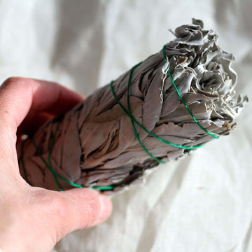 SMUDGING HERBS:  CALIFORNIA WHITE SAGE