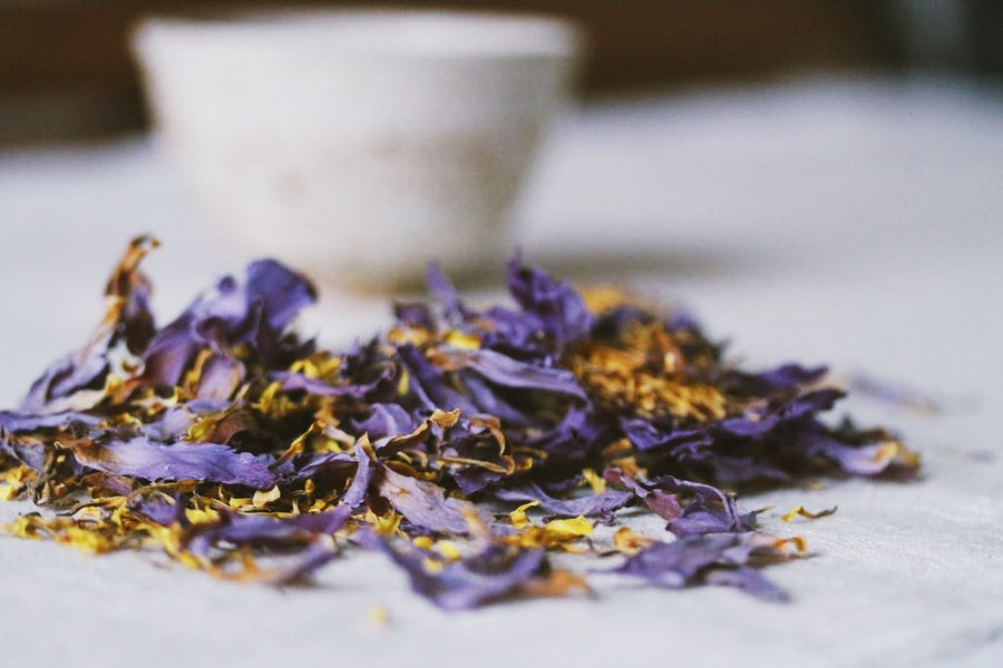 SACRED HERBS: Blue Lotus